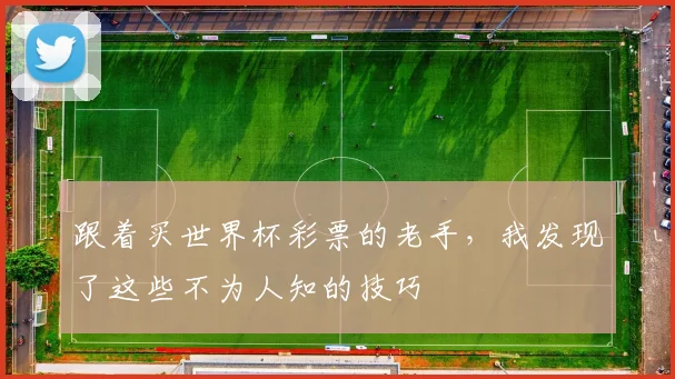 跟着买世界杯彩票的老手，我发现了这些不为人知的技巧