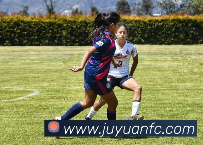 世界杯开户平台APP 封面图